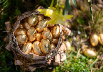 Easter Egg Chocolate